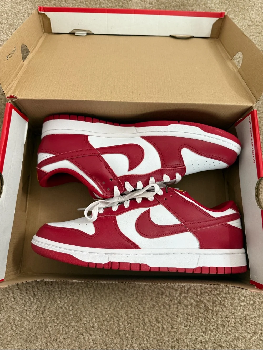 Nike Dunk Low Retro USC